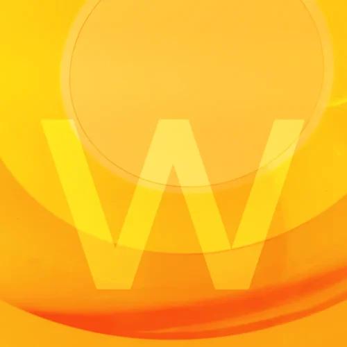 Website design & launch packages